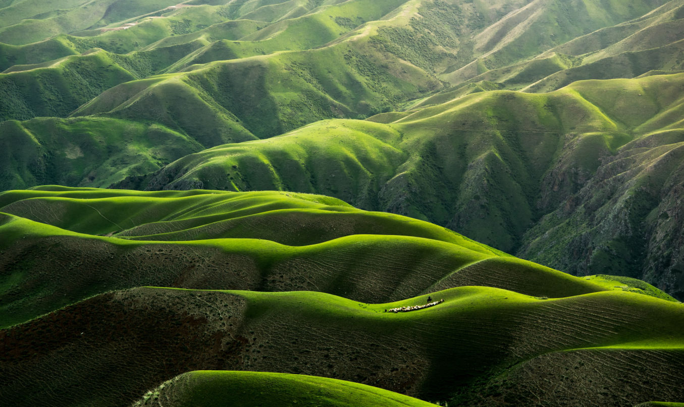 green landscape